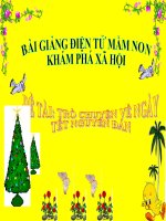 Bài giảng điện tử mầm non lớp Chồi đề tài KPXH: Trò chuyện về ngày tết nguyên đán