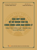 Ebook các quy định về bổ nhiệm cán bộ, công chức lãnh đạo quản lý phục vụ công tác thanh tra ngành nội vụ phần 1