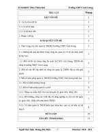 skkn một số BIỆN PHÁP QUẢN lý THIẾT bị dạy học ở trường thpt 