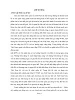 Phan tich nhung tac dong cua can can thanh toan quoc te va cac chinh sach cau chinh phu doi voi su on dinh kinh te vi mo