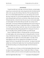 Tiểu luận văn hóa doanh nghiệp: Thực trạng xây dựng văn hóa doanh ngiệp tại Công ty Cổ phần Quốc tế Đầu tư và Thương mại Phúc Lợi.