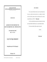 Giải pháp chủ yếu phát triển bền vững khu công nghiệp Sông Công tỉnh Thái Nguyên