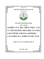 Nghiên cứu đặc điểm thực vật và thành phần hóa học của hai loài thuộc chi balanophora j r forst  g forst ở việt nam 