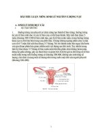 BÀI TIỂU LUẬN  MÔN: SINH LÝ NGƯỜI VÀ ĐỘNG VẬT