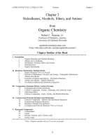 Hóa hữu cơ nước ngoài hay phần 3