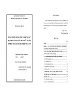 ĐỀ XUẤT MỘT SỐ GIẢI PHÁP XÂY DỰNG CÁC HOẠT ĐỘNG KIỂM SOÁT TRONG MÔI TRƯỜNG TIN HỌC CHO CÁC DOANH NGHIỆP VIỆT NAM