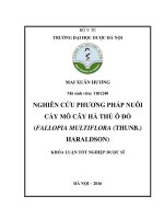 Nghiên cứu phương pháp nuôi cấy mô cây hà thủ ô đỏ (fallopia multiflora (thunb ) haraldson 