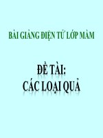Bài giảng điện tử mầm non lớp Mầm đề tài Các loại quả