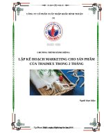 Tiểu luận Kế hoạch kinh doanh nội địa Công ty Cổ phần Xuất nhập khẩu Bình Thuận