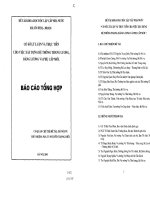 Cơ sở lý luận và thực tiễn cho việc xây dựng hệ thống thang lương, bảng lương và phụ cấp mới