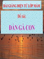 Bài giảng điện tử mầm non lớp Mầm đề tài Đàn gà con