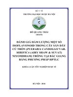 Đánh giá hàm lượng một số isoflavonoid trong cây sắn dây củ tròn (pueraria candollei var  mirifica (airy shaw  suvat) niyomdham) trồng tại bắc giang bằng phương pháp HPTLC 