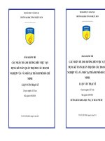 Các nhân tố ảnh hưởng đến việc vận dụng kế toán quản trị cho các doanh nghiệp vừa và nhỏ tại thành phố Hồ Chí Minh