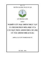 Nghiên cứu đặc điểm thực vật và thành phần hóa học củ cây rận trâu (dioscorea sp ) họ củ nâu (dioscoreaceae) 