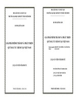 Giải pháp hình thành và phát triển quỹ đầu tư chỉ số tại Việt Nam