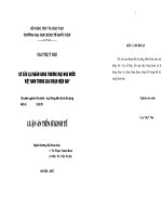 Chuyển giá trong các công ty đa quốc gia ở Việt Nam