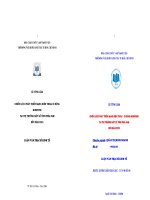 Chiến lược phát triển mạng điện thoại di động Mobifone tại thị trường một số tỉnh phía Nam đến năm 2015