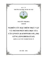 Nghiên cứu đặc điểm thực vật và thành phần hóa học của cây ụp đất (kaempferia sp ), họ gừng (zingiberaceae) 