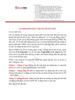 Lộ trình 990 TOEIC dành cho người mất gốc