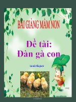 Bài giảng điện tử mầm non lớp Mầm đề tài Đàn gà con