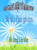 Bài giảng điện tử mầm non lớp Mầm đề tài Đàn gà con