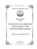 Tổng quan về các hợp chất có tác dụng ức chế enzym xanthin oxidase 