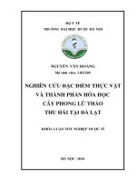 Nghiên cứu đặc điểm thực vật và thành phần hóa học cây phong lữ thảo thu hái tại đà lạt 