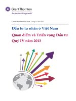 Đầu tư tư nhân ở Việt Nam Quan điểm và Triển vọng Đầu tư Quý IV năm 2013