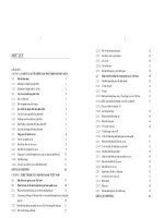 Chiến lược phát triển ngành cao su Việt Nam đến năm 2015