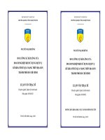 Đo lường sự hài lòng của doanh nghiệp khi sử dụng dịch vụ khai thuế qua mạng trên địa bàn thành phố Hồ Chí Minh