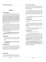 Giải pháp hoàn thiện và mở rộng phát hành cổ phiếu lần đầu qua đấu giá tại Việt Nam