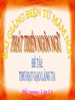 Bài giảng điện tử mầm non lớp Lá đề tài PTNN – Thơ: Hạt gạo làng ta