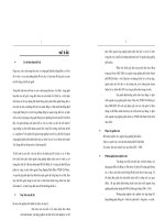 Chiến lược phát triển ngành công nghiệp phần mềm trên địa bàn TP