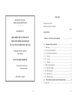 Hoàn thiện thủ tục phân tích trong tiến trình lập kế hoạch tại các Công ty Kiểm toán Việt Nam