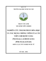 Nghiên cứu thành phần hóa học và tác dụng chống viêm của cây viễn chí đuôi vàng polygala aureocauda (polygalaceae) 