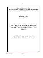 Các nghề tiểu thủ công nghiệp ở huyện phổ yên, tỉnh thái nguyên
