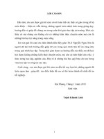 NGHIÊN CỨU ỨNG DỤNG CÔNG NGHỆ BĂNG RỘNG TRONG HỆ THỐNG INMARSAT FLEET BROADBAND - FBB250/FBB500.