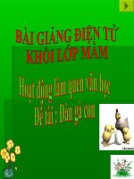 Bài giảng điện tử mầm non lớp Mầm đề tài Đàn gà con
