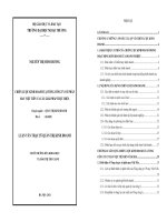 CHIẾN LƯỢC KINH DOANH TẠI TỔNG CÔNG TY CỔ PHẦN MAY VIỆT TIẾN VÀ CÁC GIẢI PHÁP THỰC HIỆN.