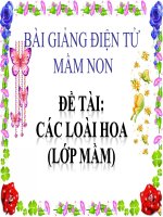 Bài giảng điện tử mầm non lớp Mầm đề tài Các loài hoa