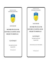 Hoàn thiện công tác quản trị nguồn nhân lực tại trường Cao đẳng nghề quốc tế Vabis Hồng Lam