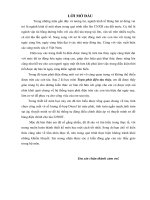 thuyết minh sơ đồ hệ thống tự động điều chỉnh điện áp và thuyết minh sơ đồ bảng điện chính cho tàu 22500t 