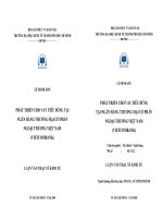 Giải pháp xây dựng các hoạt động kiểm soát trong môi trường tin học cho các DN