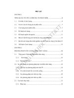 MỘT số kỹ THUẬT ước LƯỢNG dự án PHẦN mềm mềm 