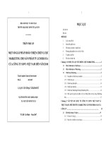 Hoàn thiện chiến lược Marketing cho sản phẩm TV LCD Bravia của Sony Việt Nam