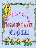 Bài giảng điện tử mầm non lớp Mầm đề tài Quả dưa hấu