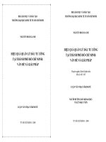 HIỆU QUẢ QUẢN LÝ ĐẦU TƯ CÔNG TẠI THÀNH PHỐ HỒ CHÍ MINH VẤN ĐỀ VÀ GIẢI PHÁP
