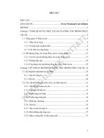 Một số ứng dụng mô phỏng lông và tóc trong thực tại ảo 