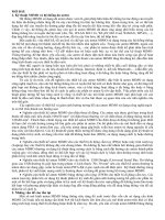 Nghiên cứu và phát triển anten MIMO cho các thiết bị đầu cuối di động thế hệ mới (TT) 