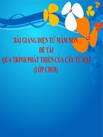 Bài giảng điện tử mầm non lớp Chồi đề tài Quá trình phát triển của cây từ hạt